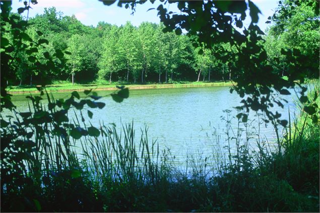 Etang de Fougemagne - S CALLAND