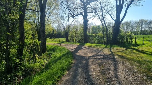 Liaison VTT-VTC (L2) - La Plaine Tonique Plan d'eau de Mépillat - scalland