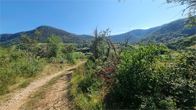 Gorges de l'Ain à VTT - scalland