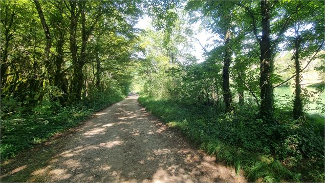 Gorges de l'Ain à VTT - scalland