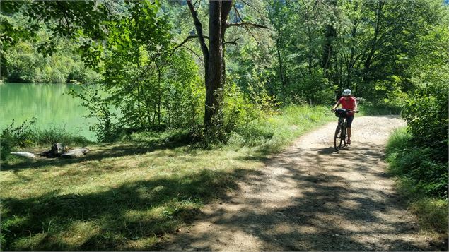 Gorges de l'Ain à VTT - scalland