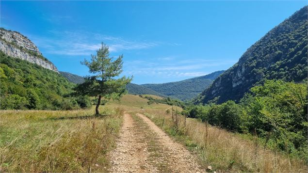 Gorges de l'Ain à VTT - scalland