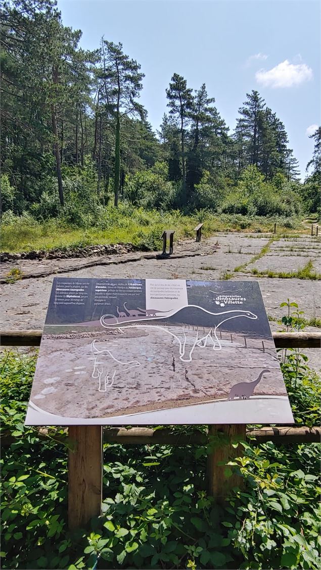 Circuit VTT n°28 (rouge) Val de Buenc - Balmont_Hautecourt-Romanèche - VTT Ceyze