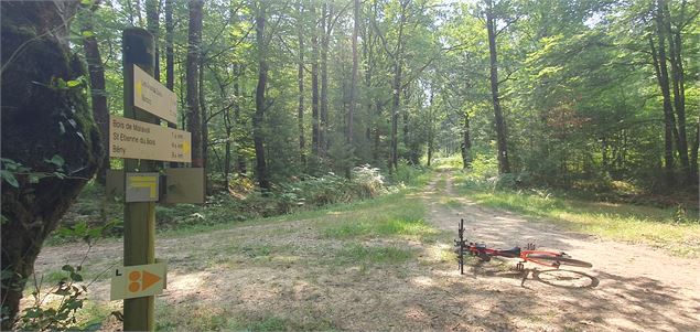 Liaison bases VTT entre Bresse et Revermont - Morgane Monneret