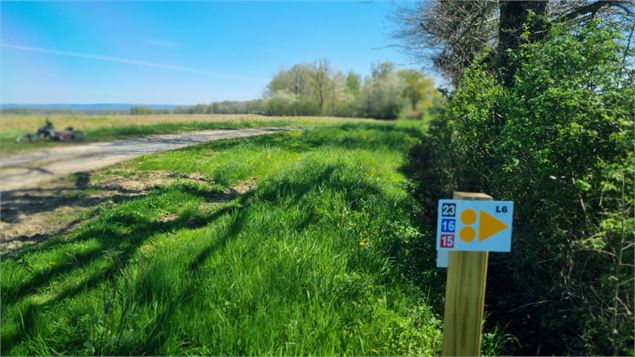 Circuit VTT-VTC n°15 (rouge) - Grand tour de la Haute Bresse - GBA