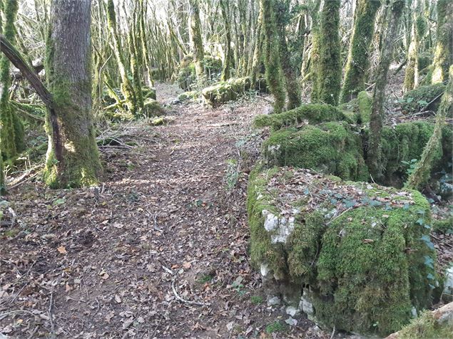 Circuit VTT n°8 (rouge) - Château de Rosy et le col des Justices_Simandre-sur-Suran - scalland