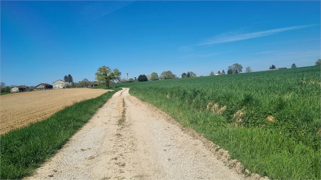 Liaison VTT (L6) St Trivier de Courtes - Plan d'eau de Mépillat - scalland