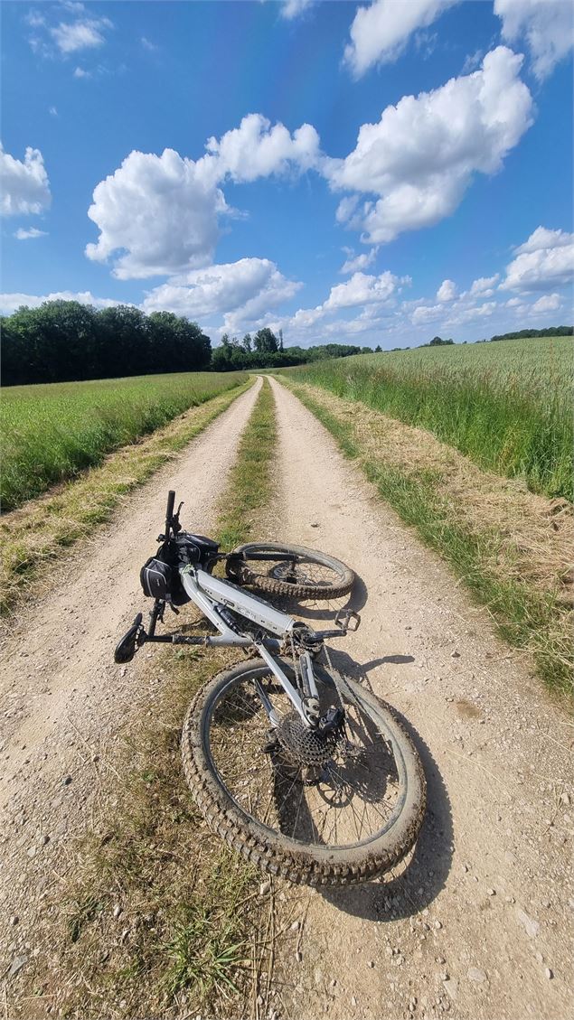 Liaison VTT-VTC (L6) St Trivier de Courtes - Plan d'eau de Mépillat - scalland