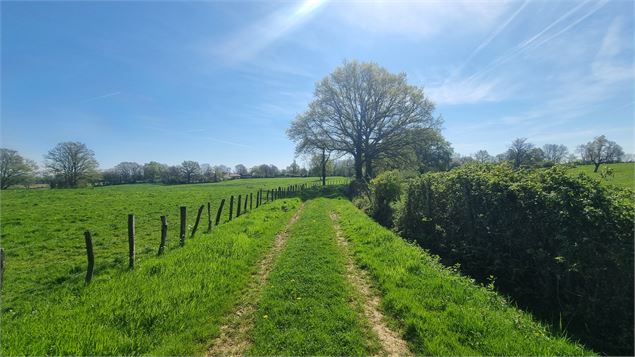 Liaison VTT (L4) St Trivier de Courtes - Ferme de la Forêt - GBA