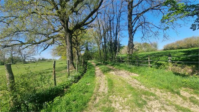 Liaison VTT (L4) St Trivier de Courtes - Ferme de la Forêt - GBA