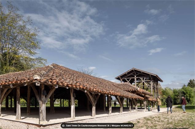 Carronnière de St Trivier de C - GBA