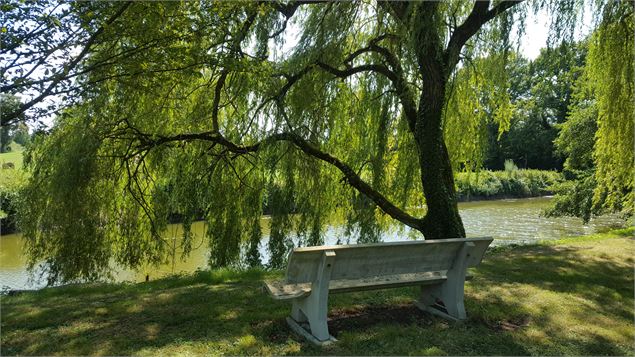 Liaison VTT (L3) Mantenay Montlin - Ferme de la Forêt - GBA