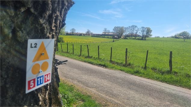 Circuit VTT-VTC n°11 (bleu) - Prairie de Jayat - Chartreuse de Montmerle - scalland