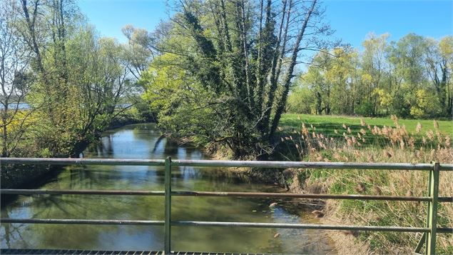 Circuit VTT-VTC n°11 (bleu) - Prairie de Jayat - Chartreuse de Montmerle - scalland