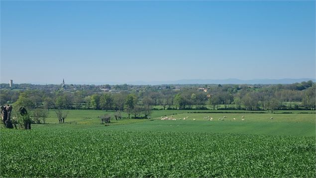 Circuit VTT-VTC n°14 (rouge)_Hauts de la vallée de la Reyssouze - GBA