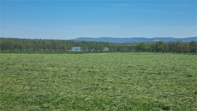 Circuit VTT-VTC n°14 (rouge)_Hauts de la vallée de la Reyssouze - GBA