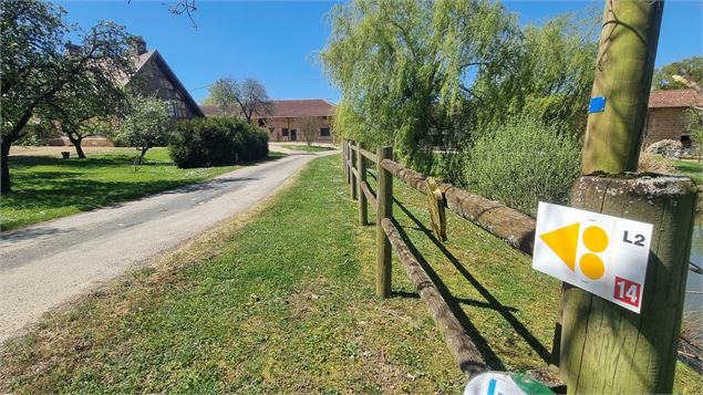 Circuit VTT-VTC n°14 (rouge)_Hauts de la vallée de la Reyssouze - GBA