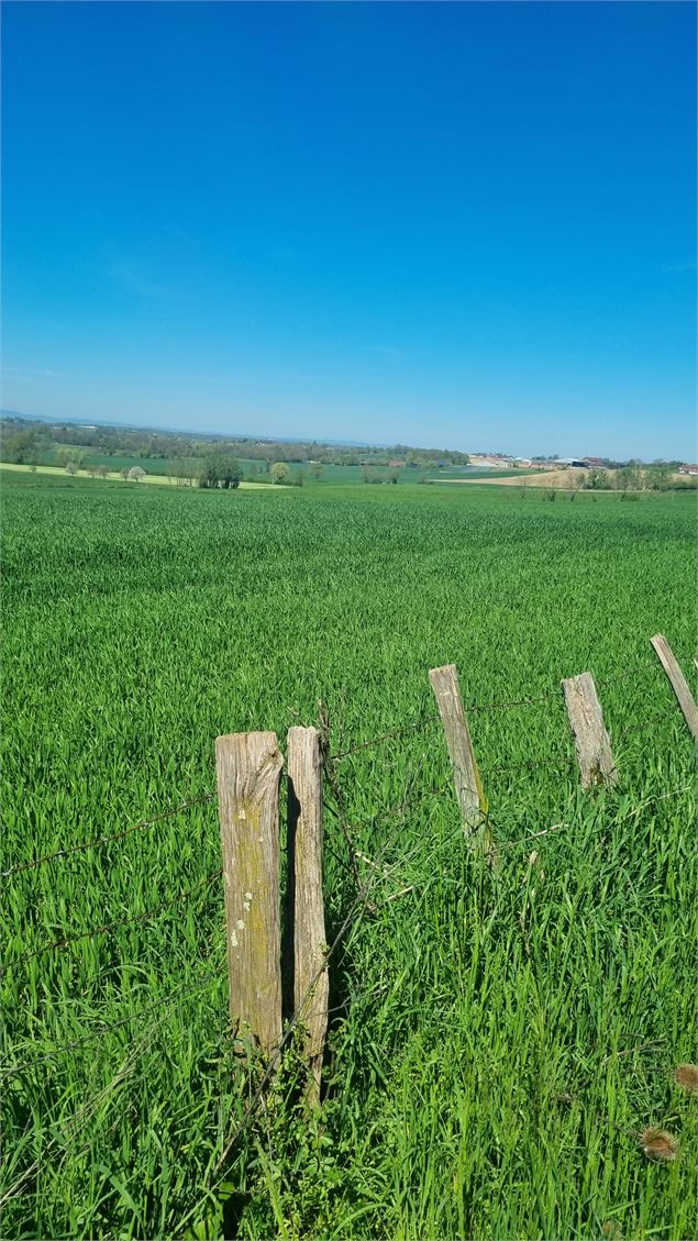 Circuit VTT-VTC n°14 (rouge)_Hauts de la vallée de la Reyssouze - GBA