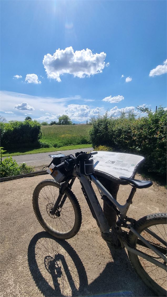 Circuit VTT-VTC n°26 (noir)_Tour de St Didier d'Aussiat - GBA