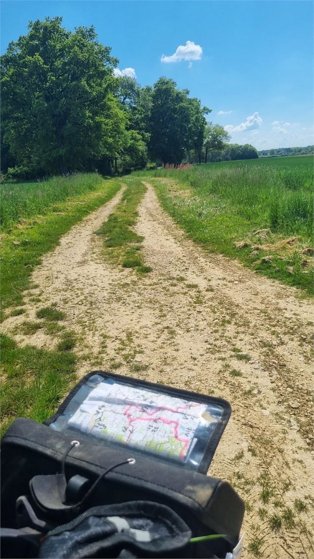 Circuit VTT n°24 (rouge) - La St Martin - GBA