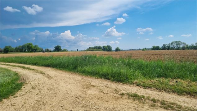 Circuit VTT n°24 (rouge) - La St Martin - GBA