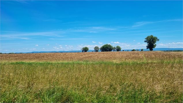 Circuit VTT-VTC n°13 (rouge)  - Les chemins de St Jean - scalland
