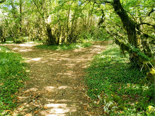 Circuit VTT n°17 (rouge) Roches de Cuiron - Mont July - scalland