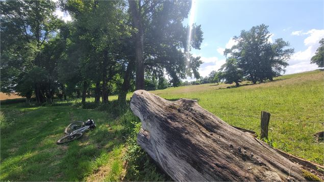 Circuit VTT-VTC n°28 (rouge) - Grand tour de Mépillat - Terres fortes de Cormoz_Saint-Nizier-le-Bouc