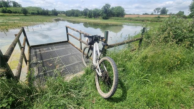 Liaison VTT-VTC (L5) St Trivier de Courtes - Romenay - scalland