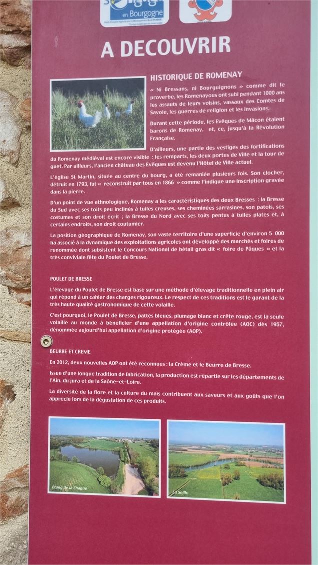 Liaison VTT-VTC (L5) St Trivier de Courtes - Romenay - scalland