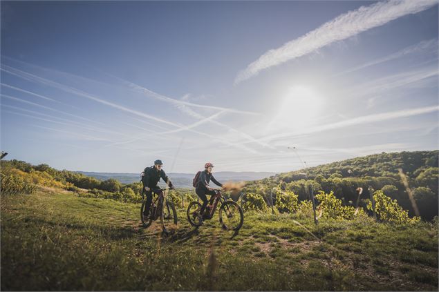 Circuit VTT n°21 (rouge) Vignoble du Revermont - Tour de Gravelles - Mizenboite