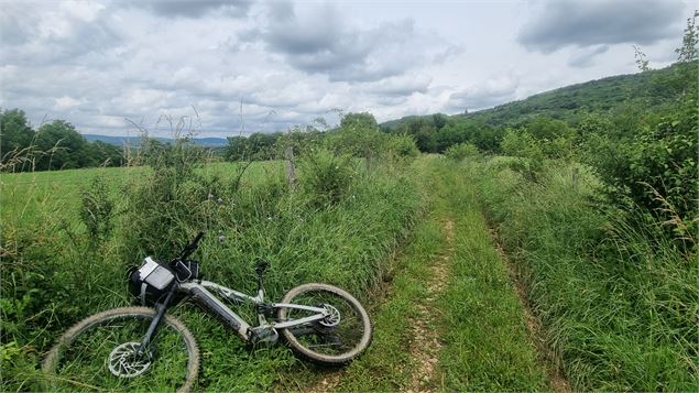 Liaison VTT (L2) Ceyzériat - Ile Chambod Gorges de l'Ain - scalland
