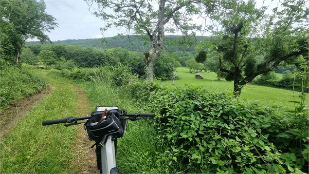 Liaison VTT (L2) Ceyzériat - Ile Chambod Gorges de l'Ain - scalland