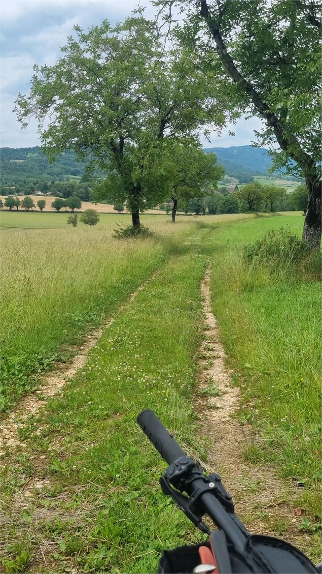 Liaison VTT (L2) Ceyzériat - Ile Chambod Gorges de l'Ain - scalland