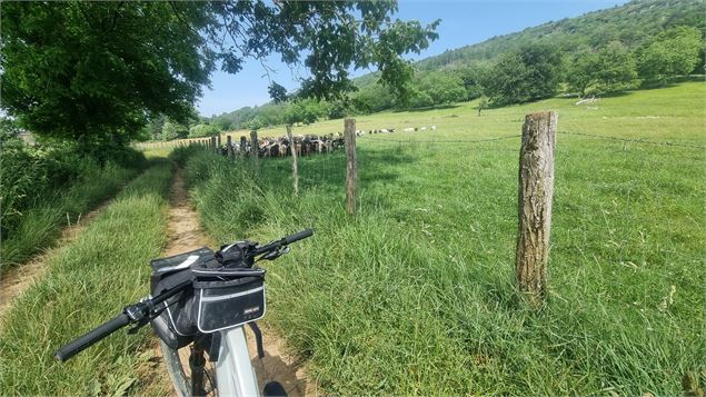 Liaison VTT (L4) Simandre sur Suran - Cize (Suran-Ain) - scalland