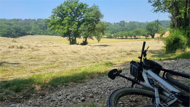 Liaison VTT (L5) Ile Chambod - Corveissiat par Gd Corent, la route des crêtes - scalland