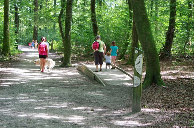 (7) seillon©JF_OTBBA -RT - (6) seillon©JF_OTBBA -RT