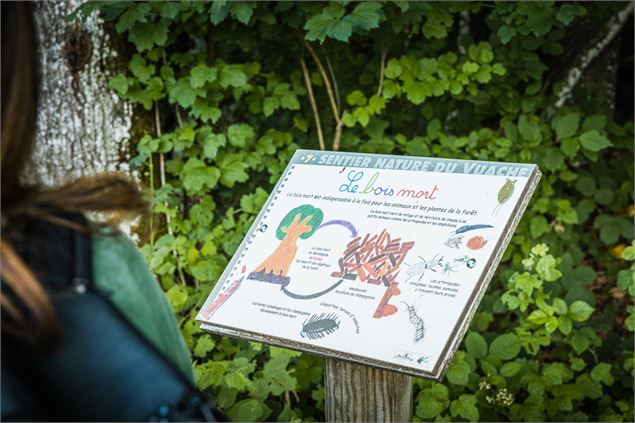 Sentier Nature du Vuache - Alpcat Médias