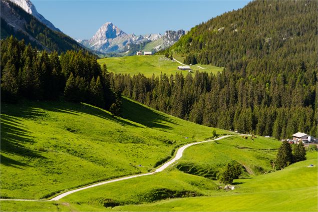 Glières - @L. GUETTE