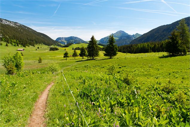 Glières - @L. GUETTE