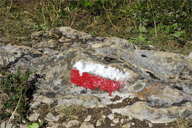 Randonnée Les Conches - S-Chapuis/Aintourisme