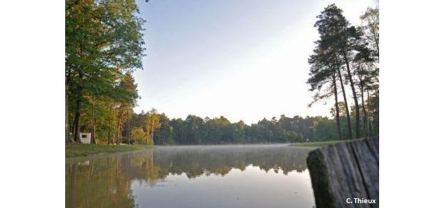 Saint-Maurice et la source du Jugnon - C. Thieux