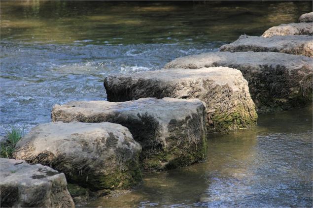 De la Bresse à la Vallée de l'Ain