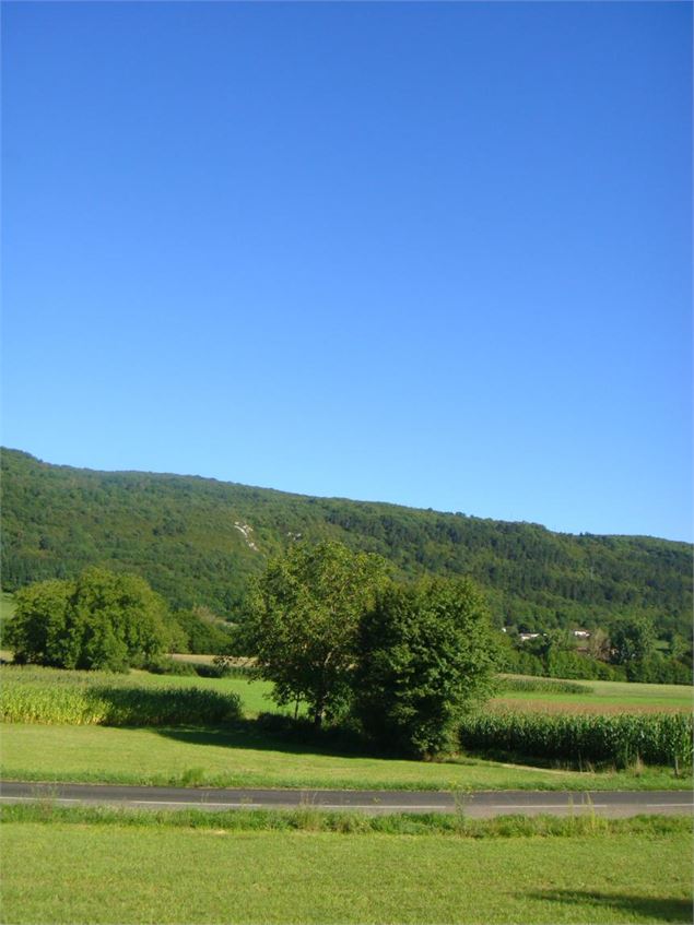 De la Bresse à la Vallée de l'Ain