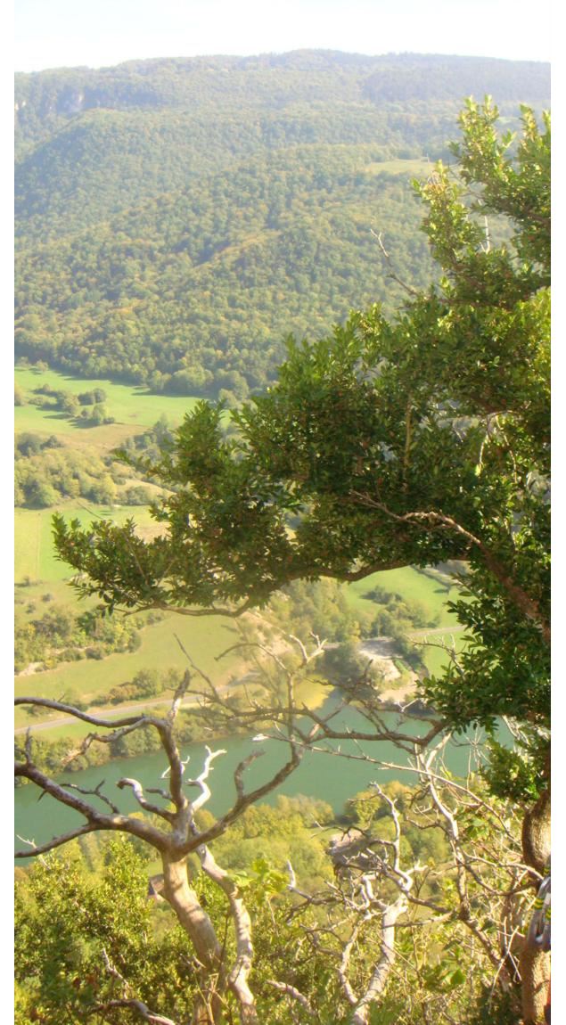 De la Bresse à la Vallée de l'Ain