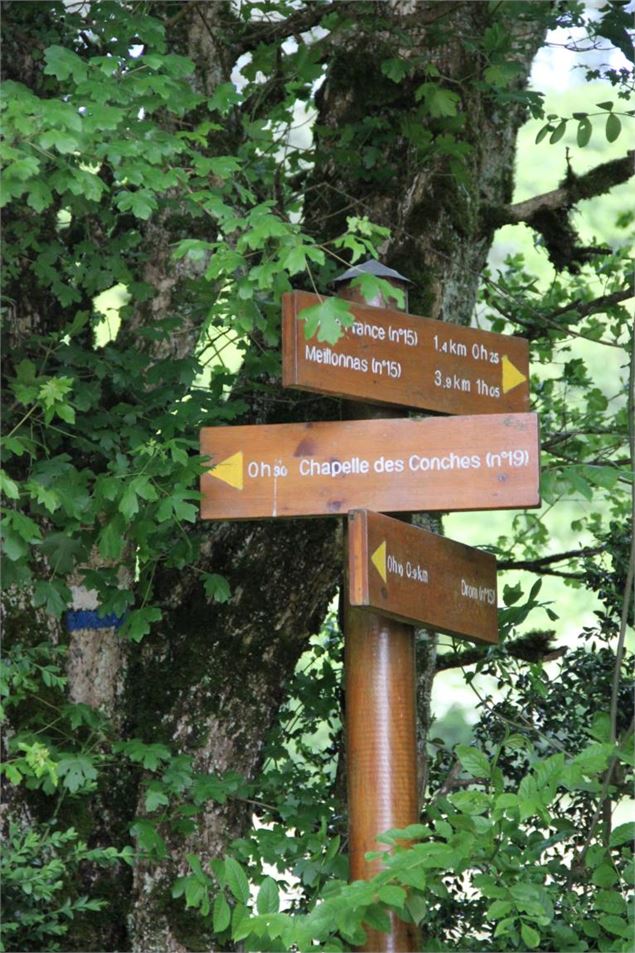 Randonnée - La chapelle des Conches