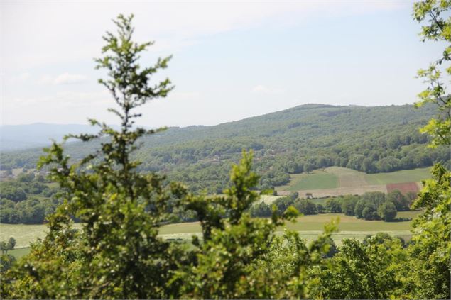Randonnée - La chapelle des Conches