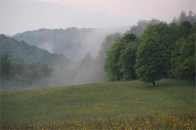 Du Suran à la vallée de l’Ain