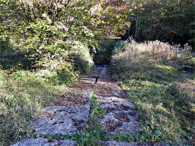 Tunnel de Drom - scalland
