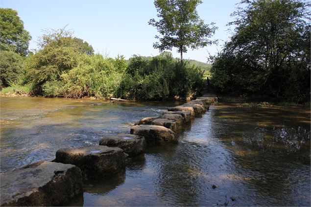 Gué sur le Suran - S.Calland